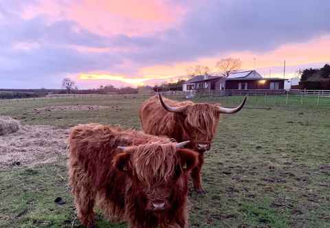 Others Orchard House Lodges