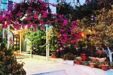 Others Kardelen Otel