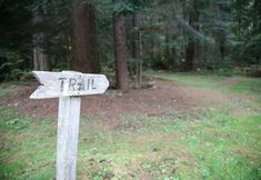 Lainnya 6 LOGE Alta Crystal