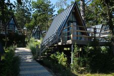 その他 Nefes Dağyenice Doğada