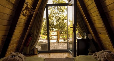 その他 2 Nefes Dağyenice Doğada