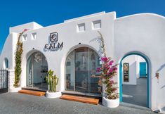 其他 2 I K I A since 1980