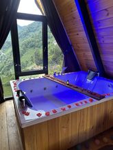 Others 4 Puleri Suit Bungalow