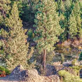 ภาพหลัก 1 Ski House 124, Old Mill District Hotels