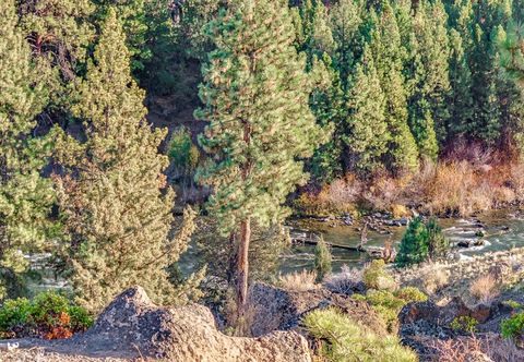 其他 River Ridge 424b