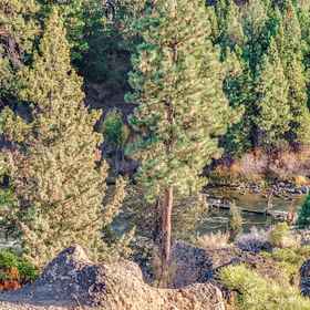 ภาพหลัก 1 Ski House 225, Hotel Deschutes County