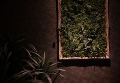 Others 2 Hotel LUNE CLAIRE - Adults Only