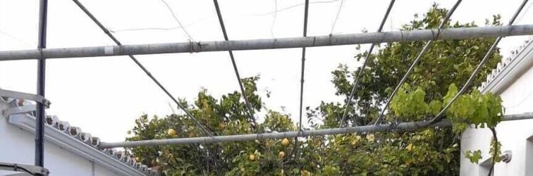 Others Diamoni Afroditi