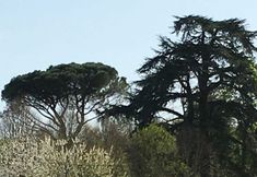 Others 5 Château du Gô