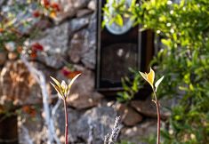 その他 5 Casa Di Pietra