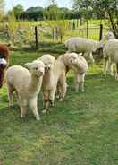 Primary image Double Decker Bus on an Alpaca Farm Sleeps 8