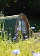 ภาพหลัก Cosy Pod-cabin Near Beautiful Landscape in Omagh