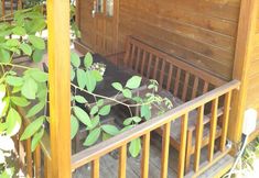 その他 6 Endemik Bungalov