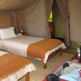 Room1Ngamba Island Tented Camp,恩德培飯店