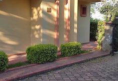 其他 3 Alissa Suite