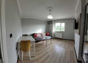 其他 4 Alissa Suite