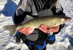 Others 6 Saganaga Lodge