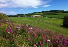 อื่นๆ 6 Hedgehog Cottage