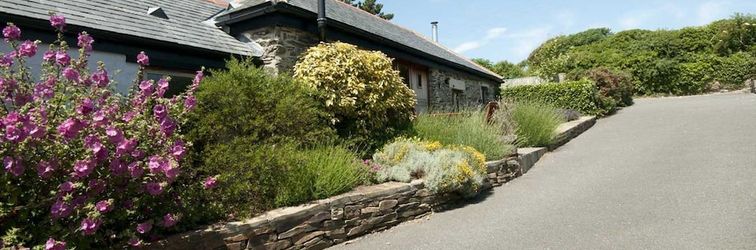 Others Lavender Barn