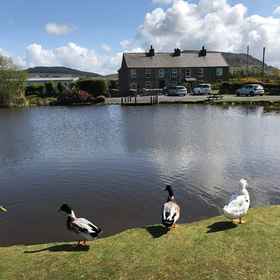 Primary image 1 2 Sea View Cottage, Pistyll Hotels