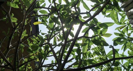 その他 2 Awal Villa