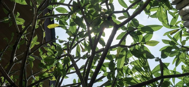 その他 2 Awal Villa