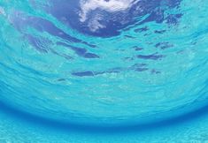 Others 5 Native Sea Amami