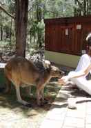 Foto utama Yelverton Brook Conservation Sanctuary