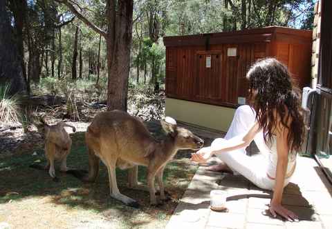 Others Yelverton Brook Conservation Sanctuary