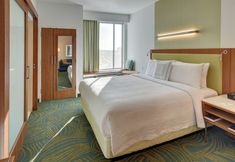Lainnya 3 Springhill Suites Dallas Plano/Frisco