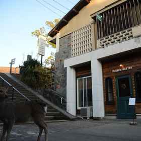 Primary image 1 鹿园汽车旅馆, 葛城市 酒店