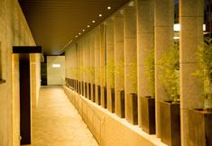 其他 3 Sakura Terrace