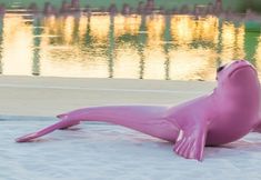 其他 7 Vogue Hotel Supreme Bodrum