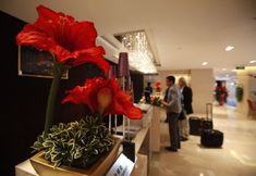 Others 4 Changbaishan International Hotel