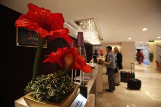 Others 4 Changbaishan International Hotel