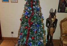 Lainnya 6 Hotel Amadeus Central