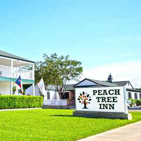 Primary image 1 Peach Tree Inn & Suites, National Museum of the Pacific War Hotels