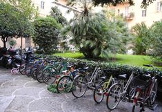 Lainnya 7 White Vatican