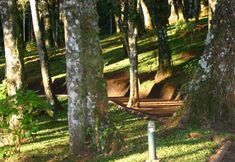 その他 5 Surya-Pan Hotel Refúgio