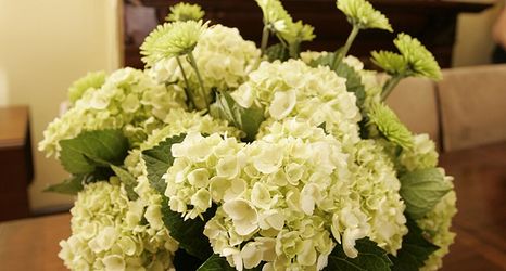 其他 2 The Morgan State House