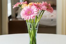 Others B&B Villa De Keyser