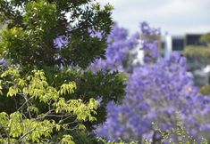 อื่นๆ 6 The Oasis Apartments