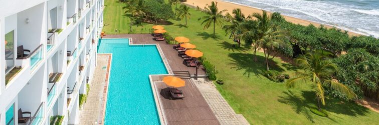 その他 Citrus Waskaduwa