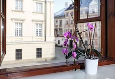 Others 3 Apartamenty Kamienica Muzyków Old Town Lublin