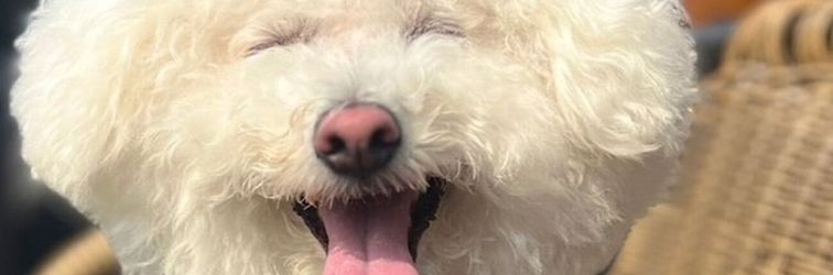 其他 BAN HOTEL TSUKIJI GINZA