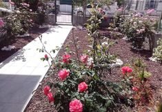 Others 5 Atamert Homes