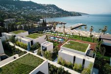 其他 Caja by Maxx Royal