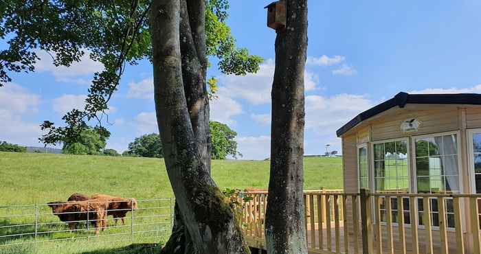 Khác Gaerhyfryd Static Caravan