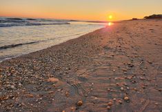 Others 2 The Sagaponack