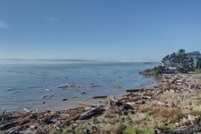 Others Waters Edge 308